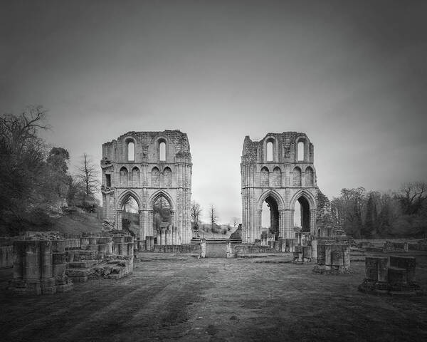 Roche Abbey Art Print featuring the photograph Roche Abbey by Ian Barber
