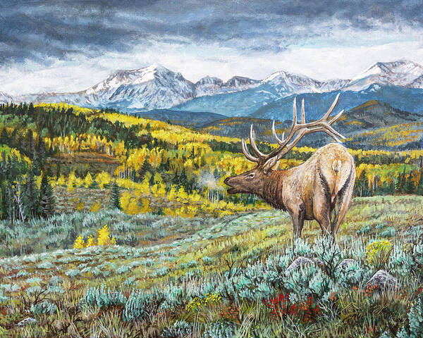 Wildlife Art Print featuring the painting Rocky Mountain Bull Elk by Aaron Spong