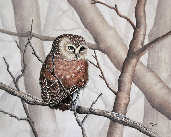 Sawhet Owl Art Print featuring the painting Sawhet Owl Observer by Renee Forth-Fukumoto