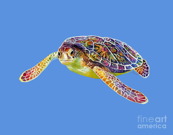 Turtle Art Print featuring the painting Sea Turtle 3 - solid background by Hailey E Herrera