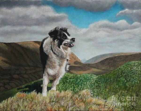 Dog Art Print featuring the painting Shep by Bob Williams