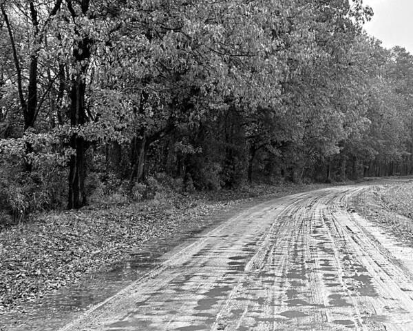 Dirt Art Print featuring the photograph Soggy Dirt Road BW by Lee Darnell