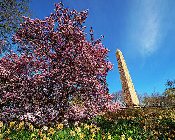 New Art Print featuring the photograph Spring in Central Park New York Egyptian Obelisk 3500 Years Old by Toby McGuire