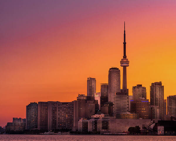 Cn Tower Art Print featuring the photograph Summer in the City by Dee Potter
