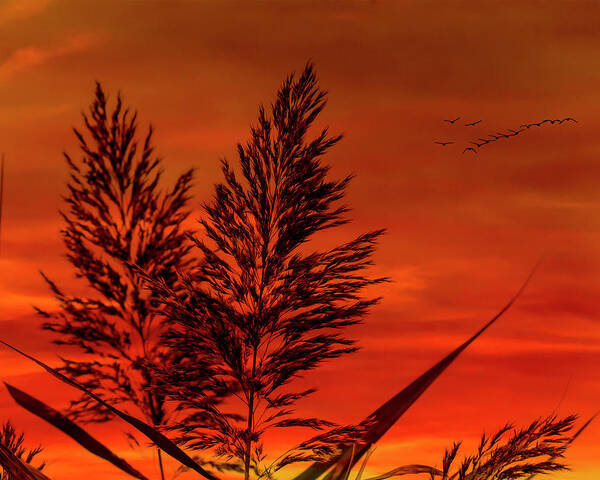Sunset Art Print featuring the photograph Sundown by Cathy Kovarik
