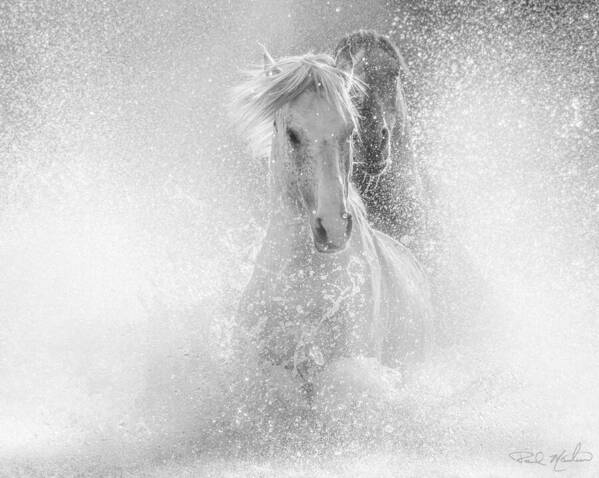 Stallion Art Print featuring the photograph Surreal Chase in Dynamic Greyscale. by Paul Martin