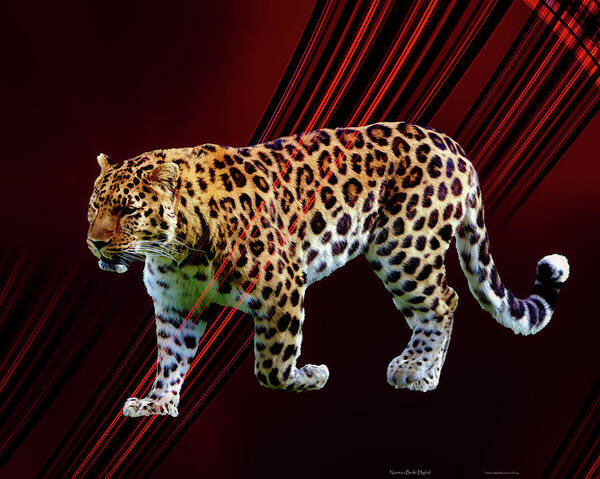 Leopard Art Print featuring the digital art Swift Beauty by Norman Brule