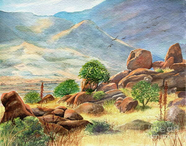 Texas Canyon Art Print featuring the painting Texas Canyon Arizona by Marilyn Smith