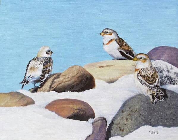 Snow Buntings Art Print featuring the painting The Debate by Tammy Taylor