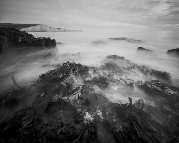  Art Print featuring the photograph The Seven sisters, low tide by Will Gudgeon