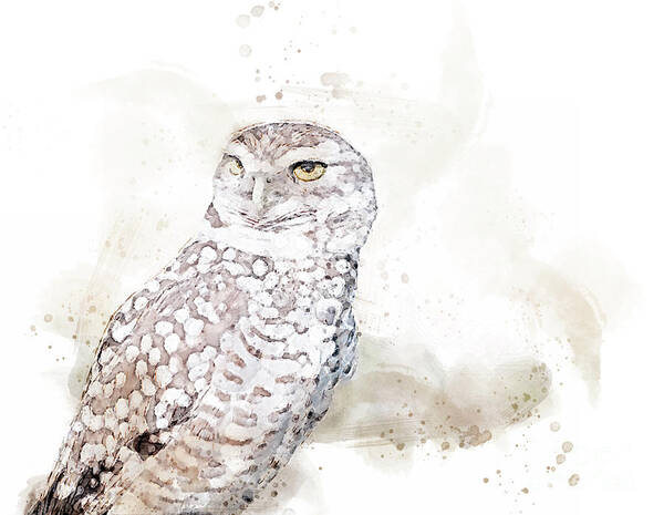 Burrowing Owl Art Print featuring the digital art Those Eyes 2 by Jayne Carney