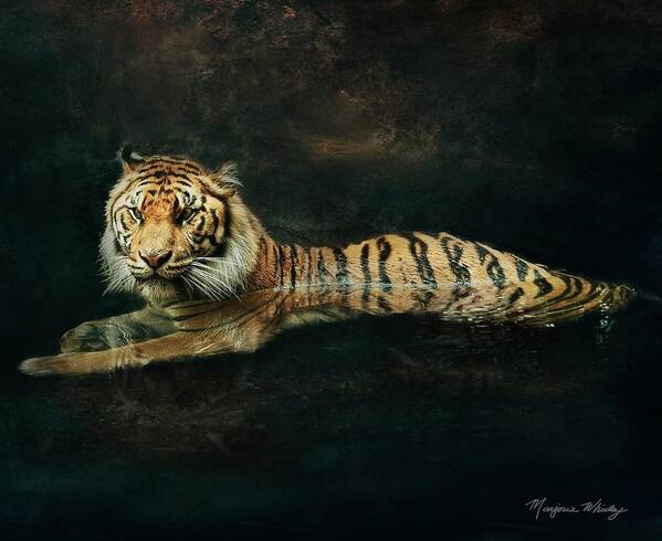 Texture Art Print featuring the photograph Tiger In Water by Marjorie Whitley