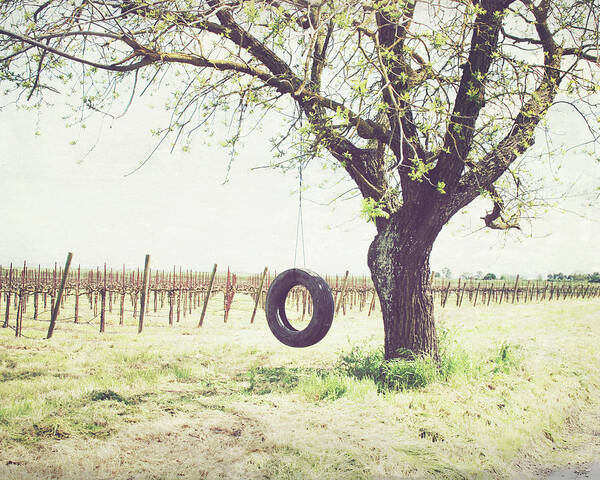 Landscape Photography Art Print featuring the photograph Tire Swing by Lupen Grainne