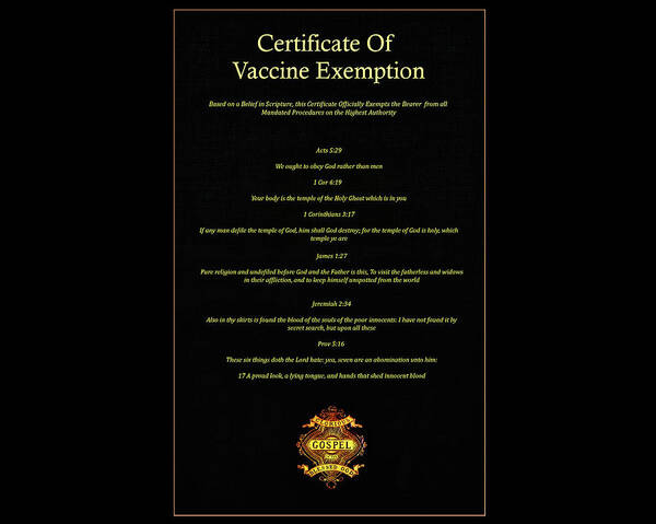 Covid Vaccine Art Print featuring the digital art Vaccine Passport by Norman Brule