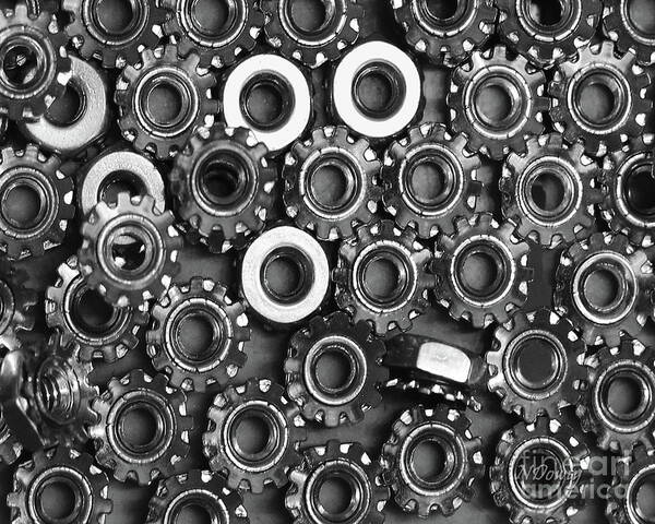 Washers Art Print featuring the photograph Washers by Natalie Dowty