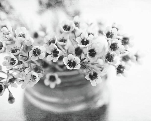 Flowers Art Print featuring the photograph Wax Flowers by Lupen Grainne