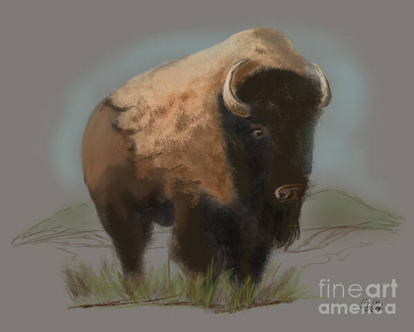 Bison Art Print featuring the digital art With Wisdom He Watched by Doug Gist