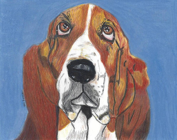 Xavier Art Print featuring the drawing Xavier the Basset Hound by Ali Baucom