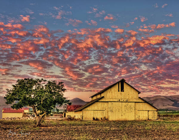 Yellow Barn Art Print featuring the photograph Yellow Barn by Beth Sargent