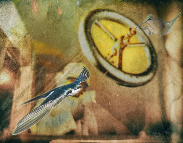 Bird Art Print featuring the photograph Untitiled00ud by Paul Vitko
