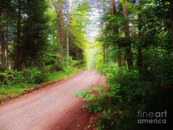 Pathway Art Print featuring the photograph Into the Light by Judy Via-Wolff