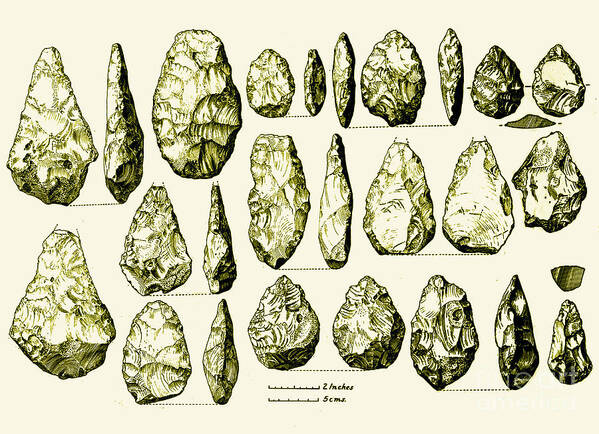 Acheulian Art Print featuring the photograph Acheulean Hand-axes, Lower Paleolithic #1 by Science Source