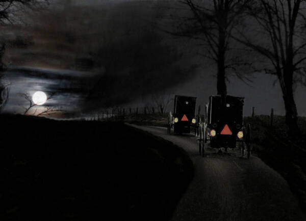 Amish Art Print featuring the photograph Life In The Slow Lane #2 by William Griffin