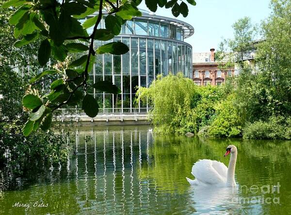 mowbray Gardens Sunderland Art Print featuring the photograph Mowbray Gradens #1 by Morag Bates