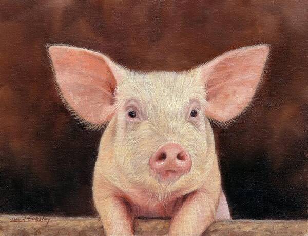 Pig Art Print featuring the painting Pig #1 by David Stribbling