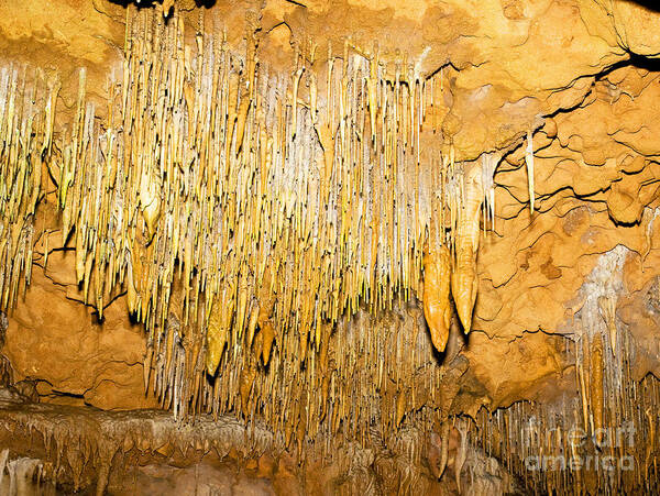 Nature Art Print featuring the photograph Stalactite Formations In Florida #1 by Millard H. Sharp