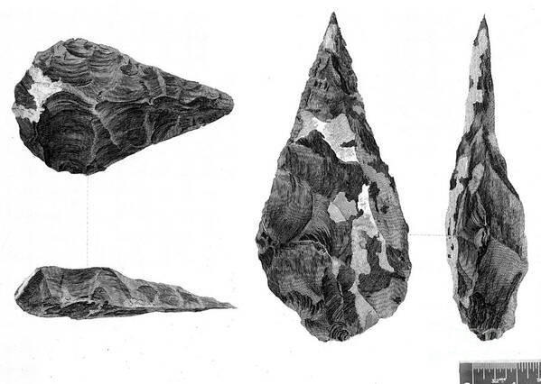 Historic Art Print featuring the photograph Stone Age Hand-axes From Hoxne, Suffolk #1 by Wellcome Images