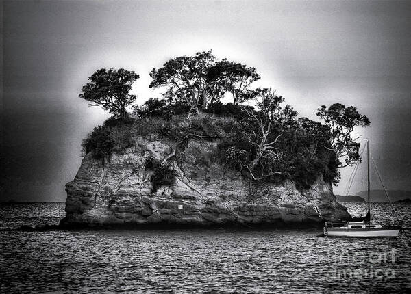 Island Art Print featuring the photograph The Thor #1 by Karen Lewis