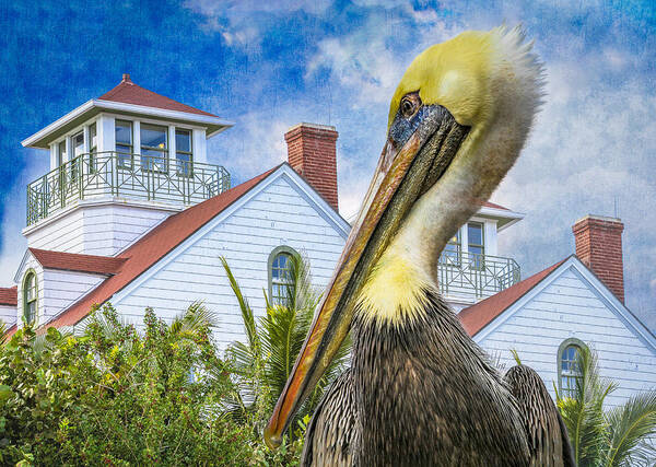 Bird Art Print featuring the photograph The Watch #2 by Debra and Dave Vanderlaan