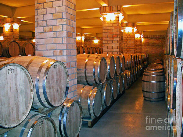 Wine Vats Art Print featuring the photograph Wine Vats #1 by Tim Holt