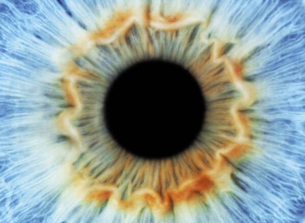 Eye Art Print featuring the photograph Blue eye #2 by Science Photo Library