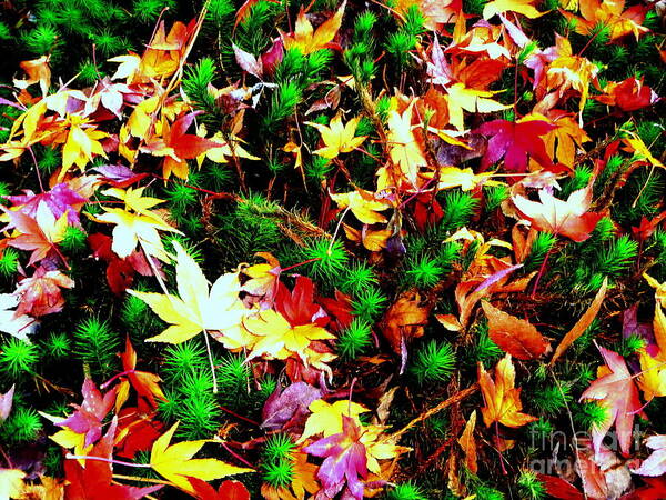 Autumn.maple.green.nature.flower.light.landscape.japan.sun.sunshine.energy. Art Print featuring the photograph Autumn Dance #3 by Kumiko Mayer