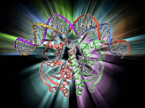 Activating Art Print featuring the photograph Gene Activator Protein #3 by Laguna Design