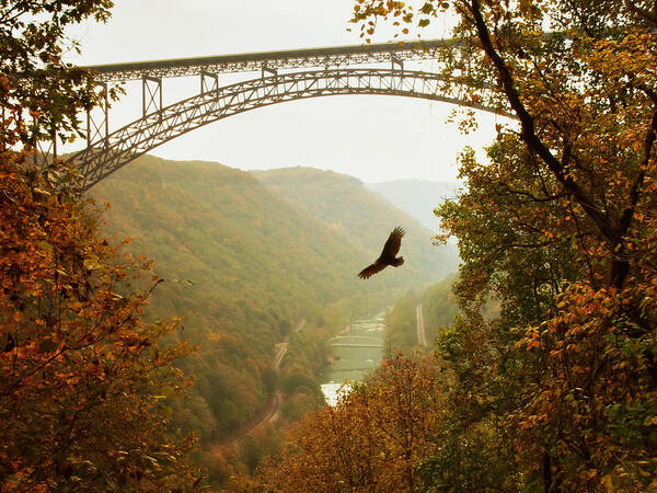 Fall Art Print featuring the photograph New River Gorge Bridge #3 by Mary Almond