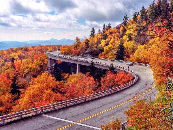 Blue Ridge Parkway Art Print featuring the photograph A Colorful Ride Along The Blue Ridge Parkway by Chris Berrier