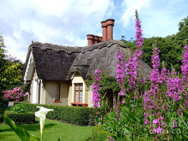 Cottage Art Print featuring the photograph A cosy cottage by Joe Cashin