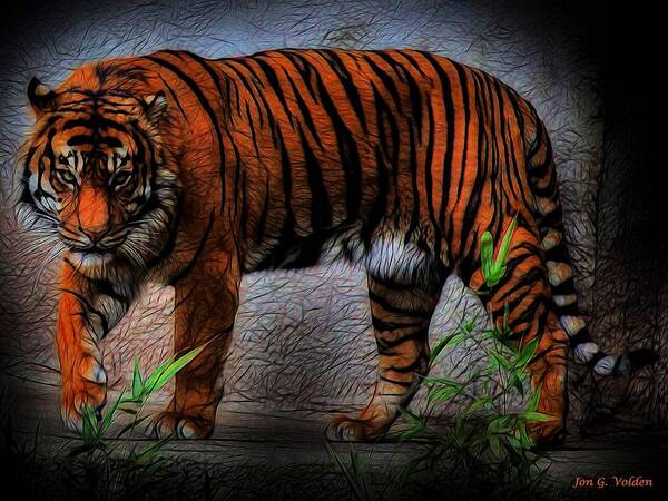 Tiger Art Print featuring the photograph A Dangerous Tiger by Jon Volden