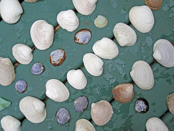 Sea Shells Art Print featuring the photograph A days treasures... by Kate Gibson Oswald
