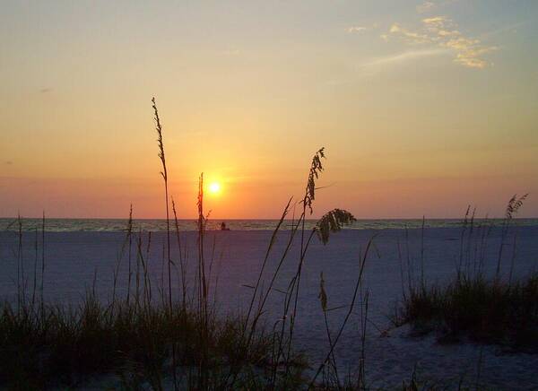 Ocean Art Print featuring the photograph A Florida Sunset by Cynthia Guinn