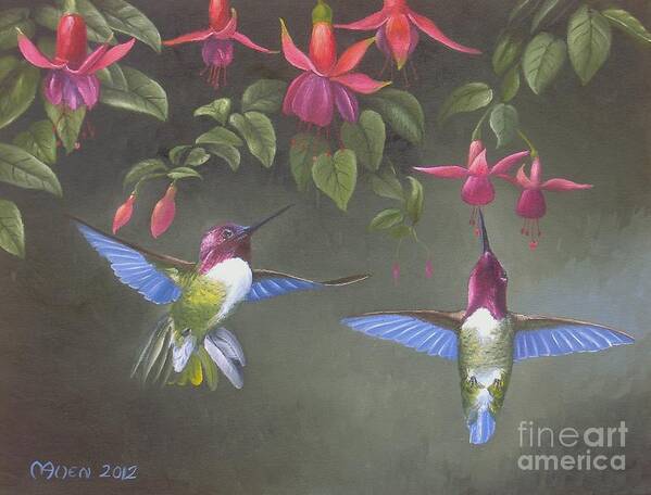 Hummingbird Paintings Art Print featuring the painting A Fuchsia Moment by Michael Allen