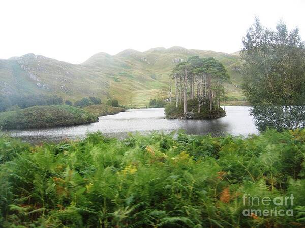 Scottish Highlands Art Print featuring the photograph A Highland Island by Denise Railey
