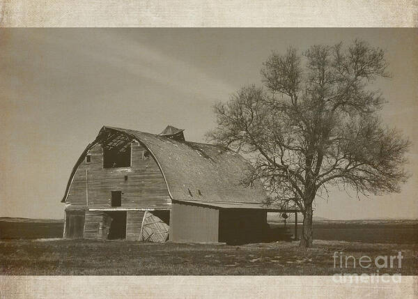 Abandoned Art Print featuring the photograph Abandoned - Monochrome by Sharon Elliott