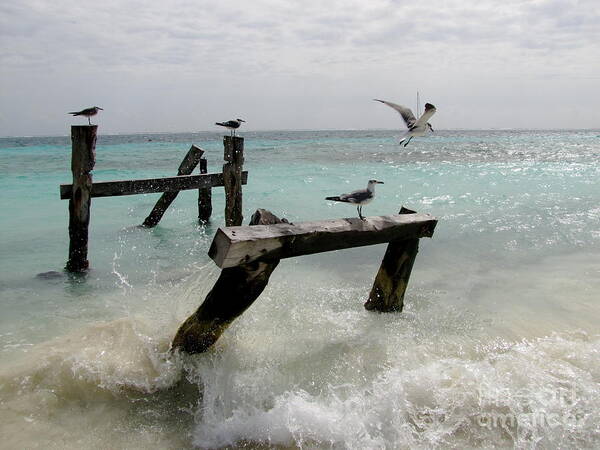 Photography Art Print featuring the photograph Abandoned pier by Sean Griffin