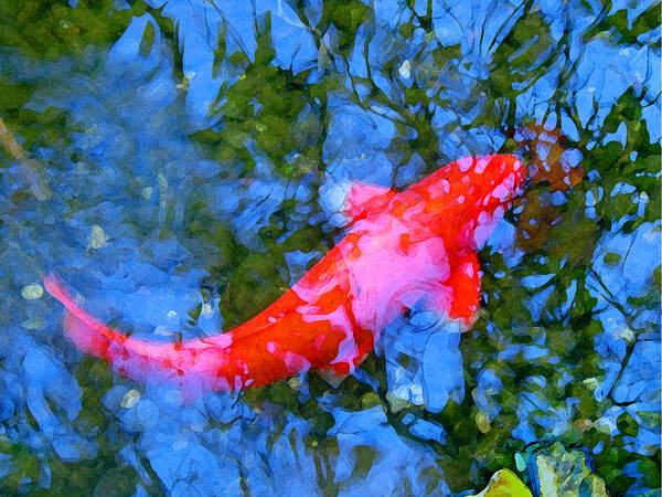 Abstract Art Print featuring the painting Abstract Koi 4 by Amy Vangsgard