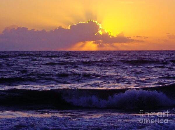 Bestseller Art Print featuring the photograph Amazing - Florida - Sunrise by D Hackett