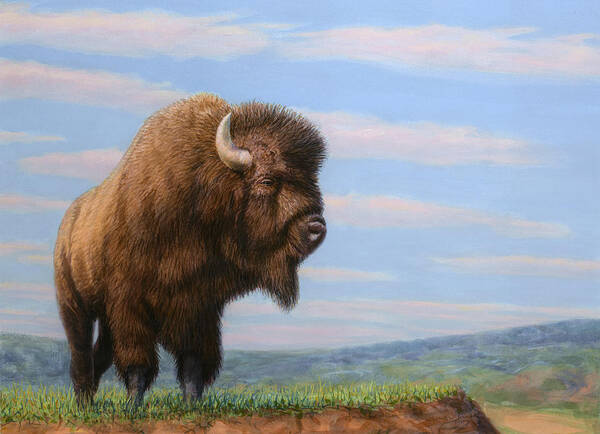 Bison Art Print featuring the painting American Bison by James W Johnson